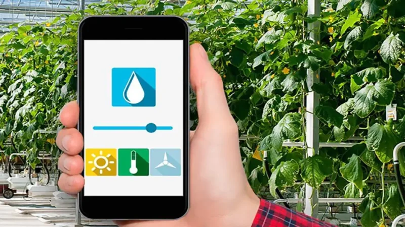 Jak obniżyć temperaturę w szklarni latem? Cieniowanie, wietrzenie i podlewanie